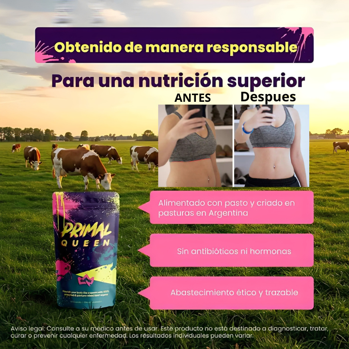 Primal Queen | Renovación de Energía y Ciclo Hormonal